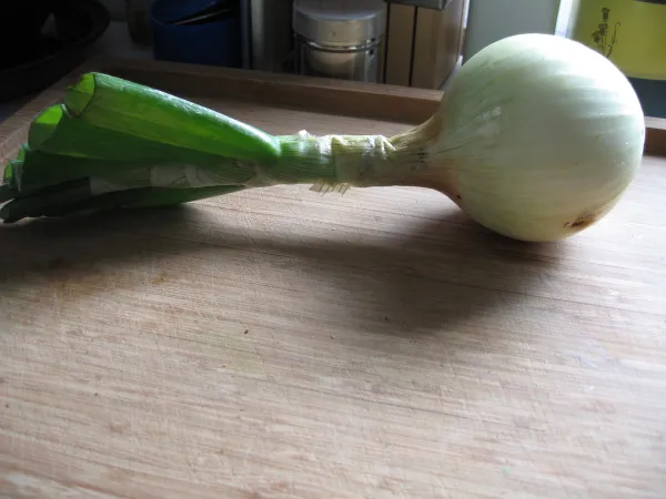 Ailsa Craig, Bio Ailsa Craig, Bio