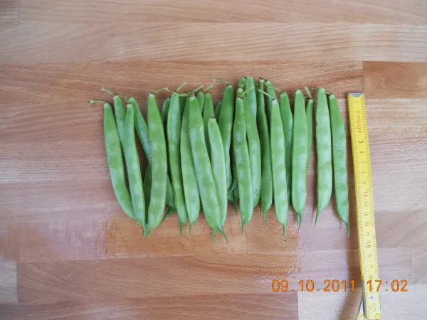 Dr. Becker Nr. 20, Bio Dr. Becker Nr. 20, Bio