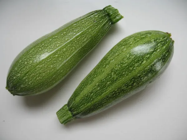 Greysini, Bio Greysini, Bio