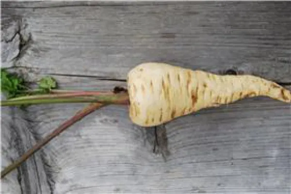 Halblange aus Guernsey, Bio