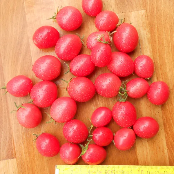 Himbeerrose, Bio, Vorteilspack