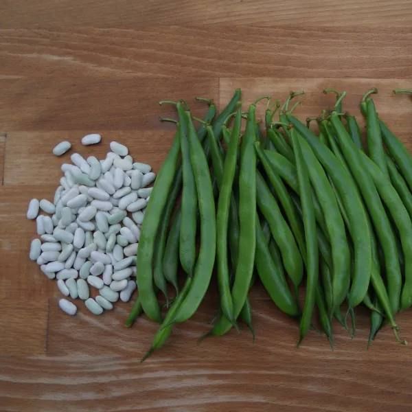 Kleine Weisse aus der Touraine, Bio