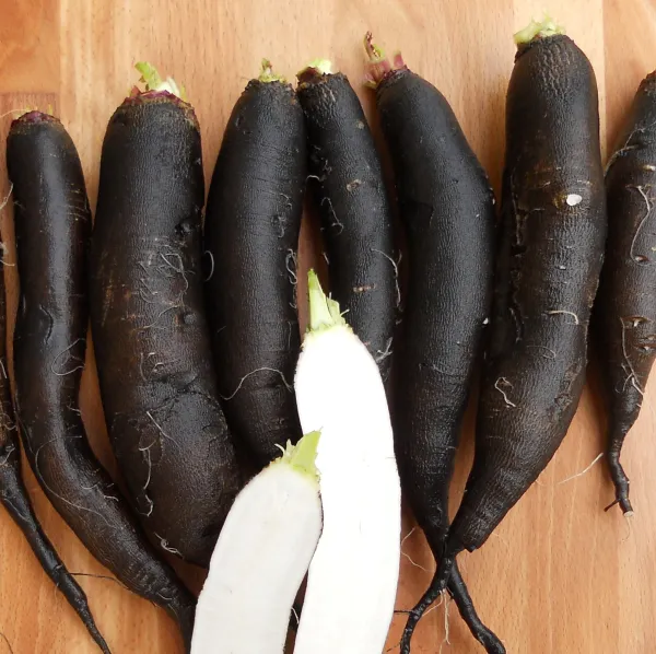 Langer Schwarzer Winter, Bio