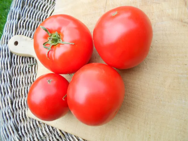 Manitoba, Bio Manitoba, Bio