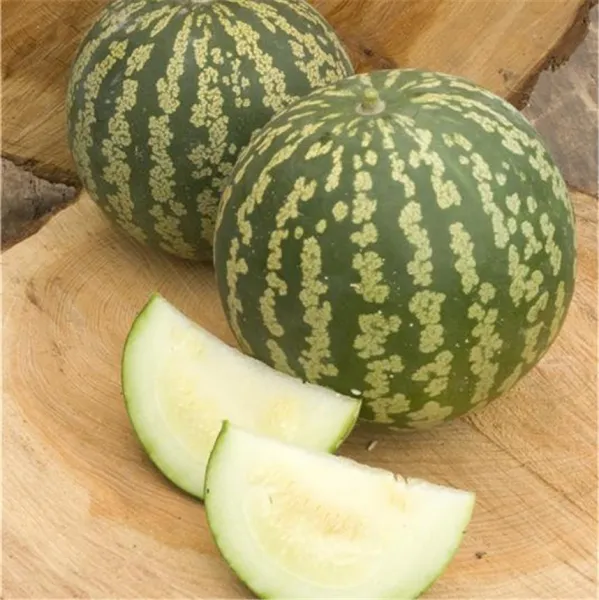 Marmeladenpasteke, Bio