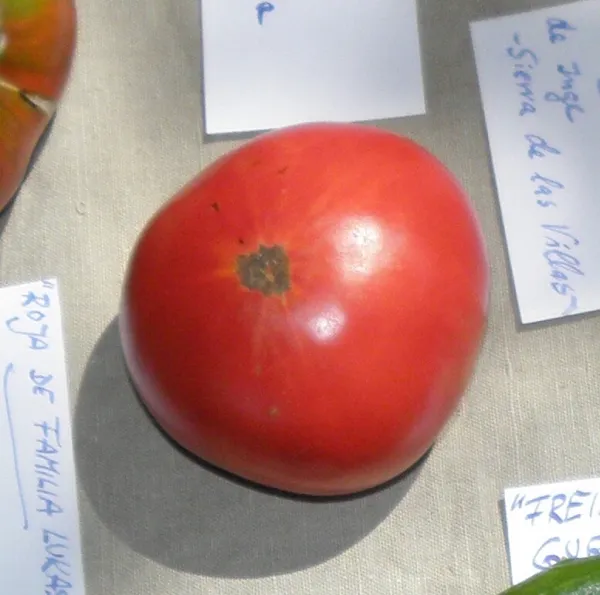 RAF Vorteilspack, Bio