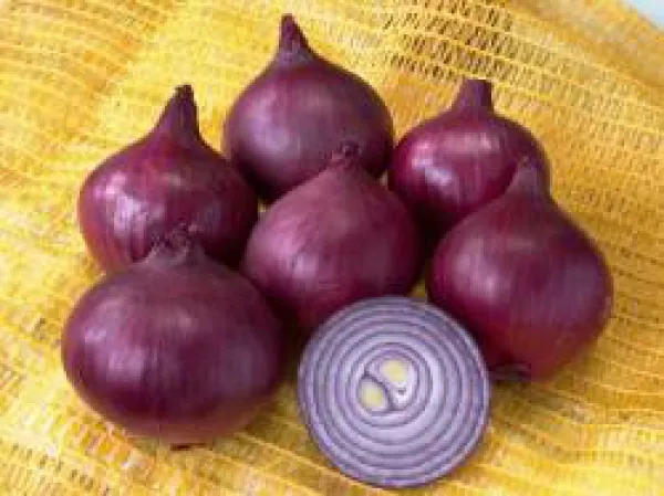 Robelja, Bio Robelja, Bio