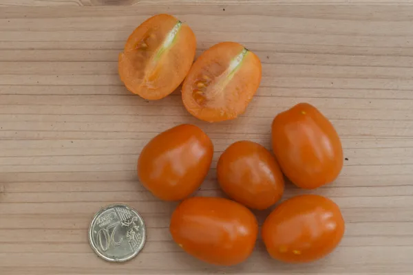 Schweiburger Pflaume, Bio