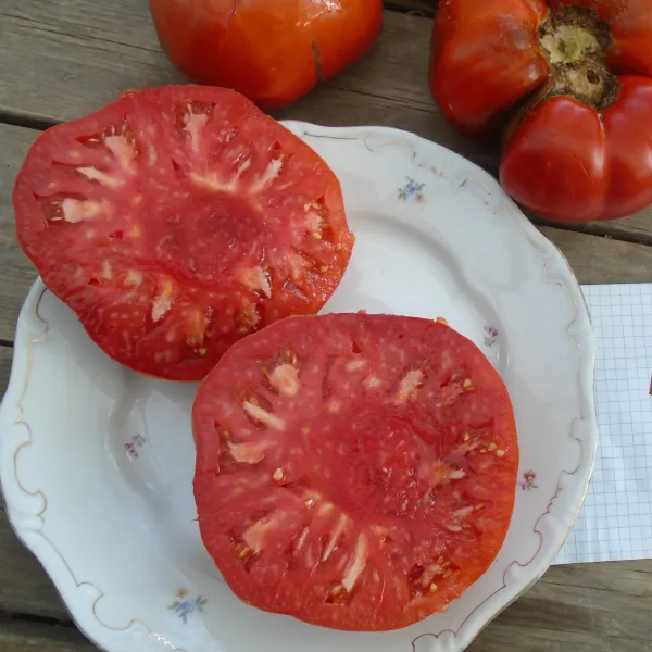 Siebenbürger Fleischtomate, Bio