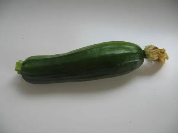 Verte de Maraicher, Bio