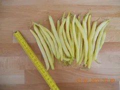 Berggold, Bio, Mini-Pack