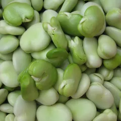 Dr. Becker Nr. 1, Bio