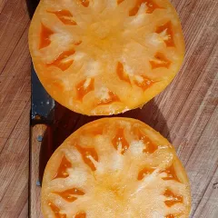 Hawaiian Pineapple, Bio