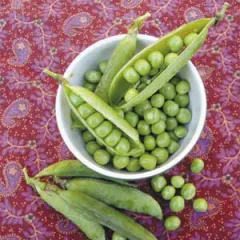 Kleine Rheinländerin, Bio, Mini-Pack