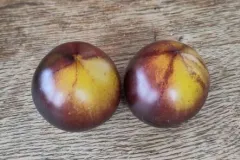 Orange Purple Striped, Bio