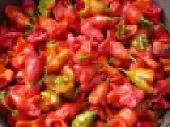 Red hot Lampion, Bio