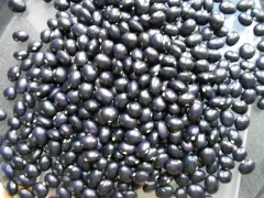 Schöne von Richigen, Bio, Mini-Pack