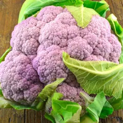 Sizilianischer Blumenkohl, Bio