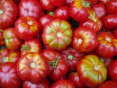 Zürcher Original, Bio